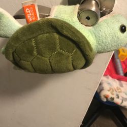 Brown Bear And Turtle