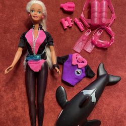 Barbie dolls plus accessories 