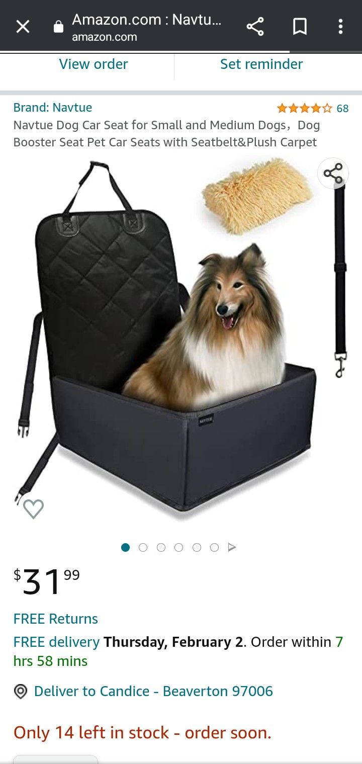 Pet Car Seat