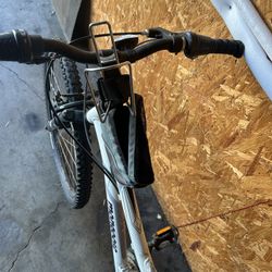 Mongoose 