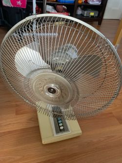 Fan