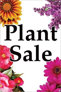 Plant Sale!