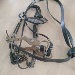 Unique Horse Bit And Bridle Ladies Stocking Legs