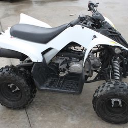 2017 Yamaha Raptor 90