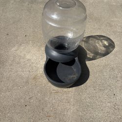 Pet Water Dispenser 