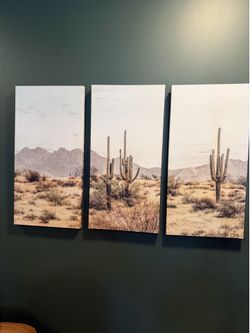 Canvas desert cactus mountain wall art - 3 pieces