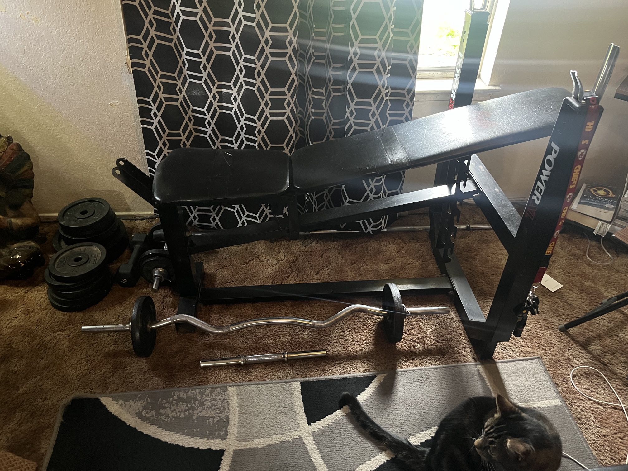 Workout Bench And Weights 