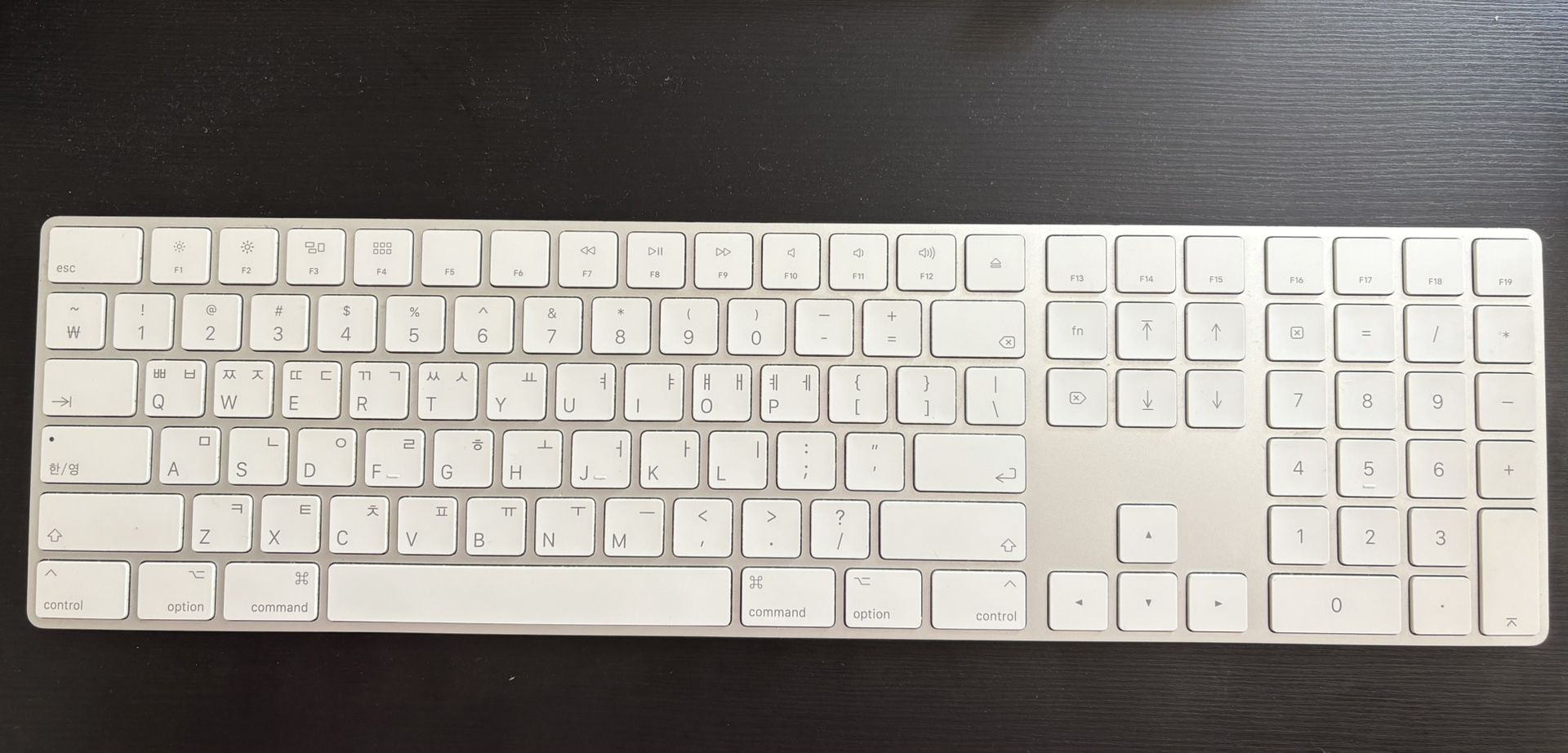 Apple Magic Keyboard Lightning Version