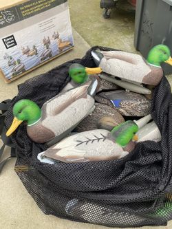 Decoys