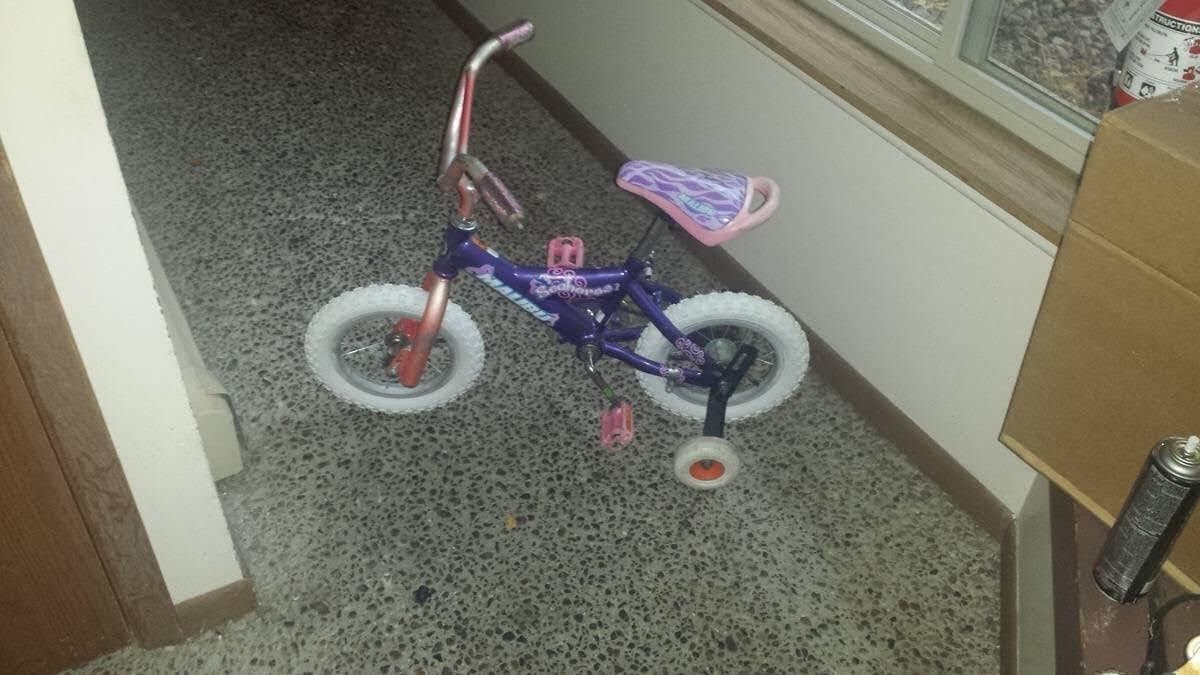 12 inch malubue sea horse bike