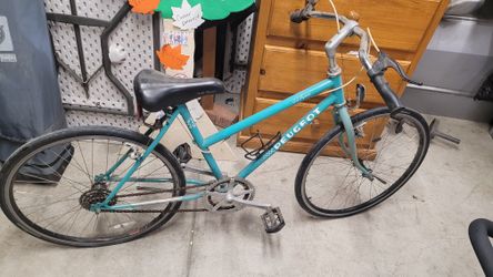 bike $100
