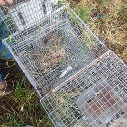 Live Trap With Bait Cage