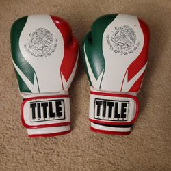 Title Mexican Flag Boxing Gloves 