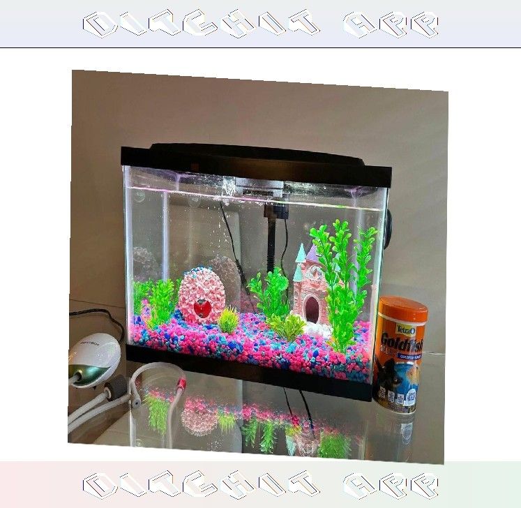 other wonder Ready-Made Aquarium Kit - Explore Underwater Beauty