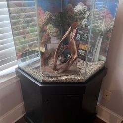 Fish Tunck