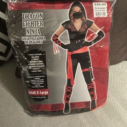 dragon fighter ninja