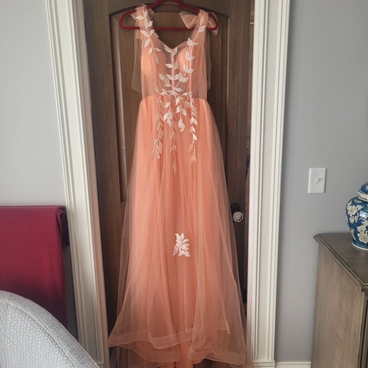Beautiful Tulle Full Length Dress