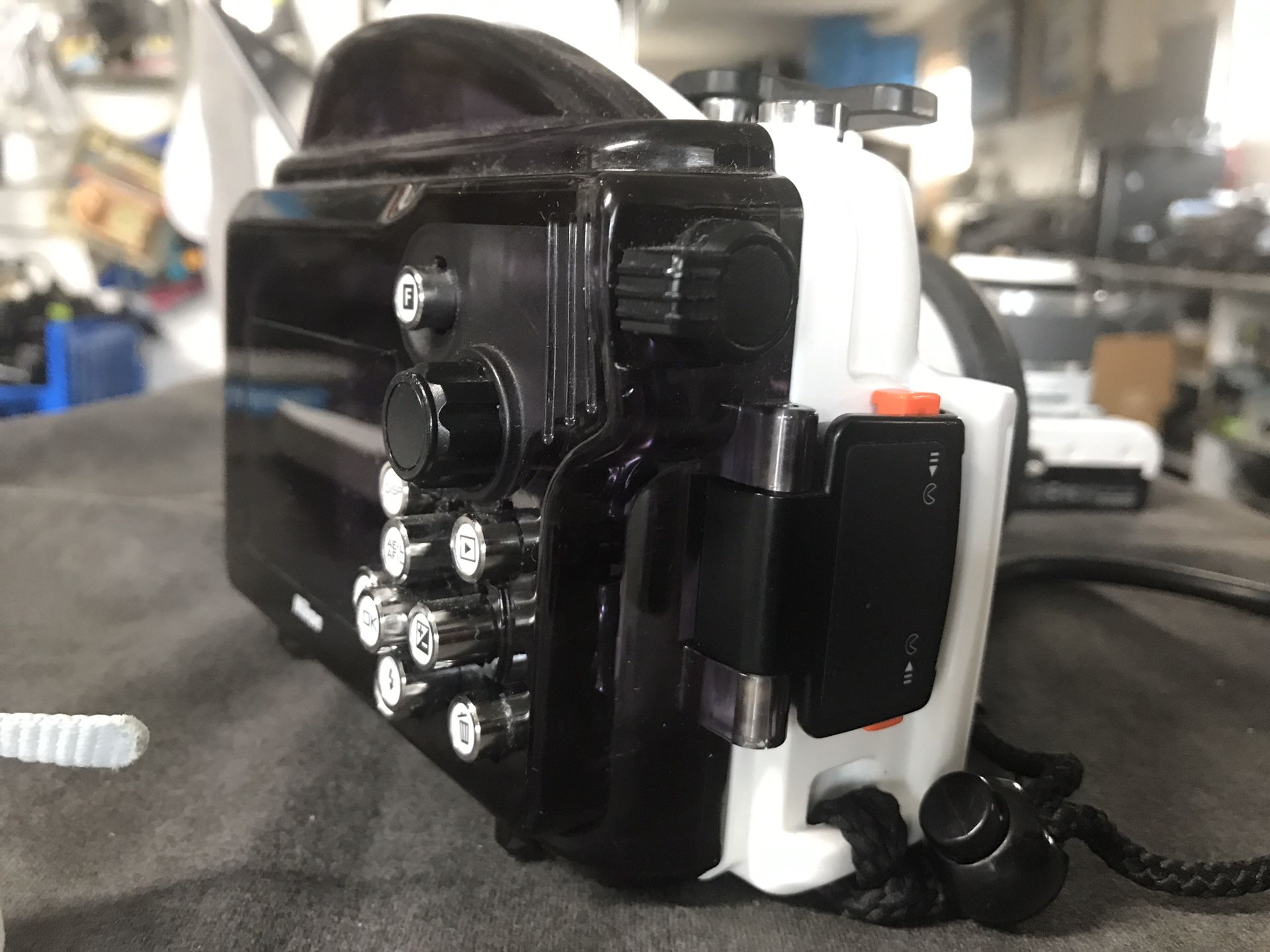 Nikon 1 J2 Digital Camera with a WP-N1 Waterproof Case