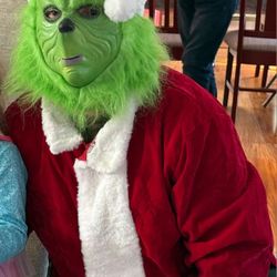 Grinch Adult Size Costume 