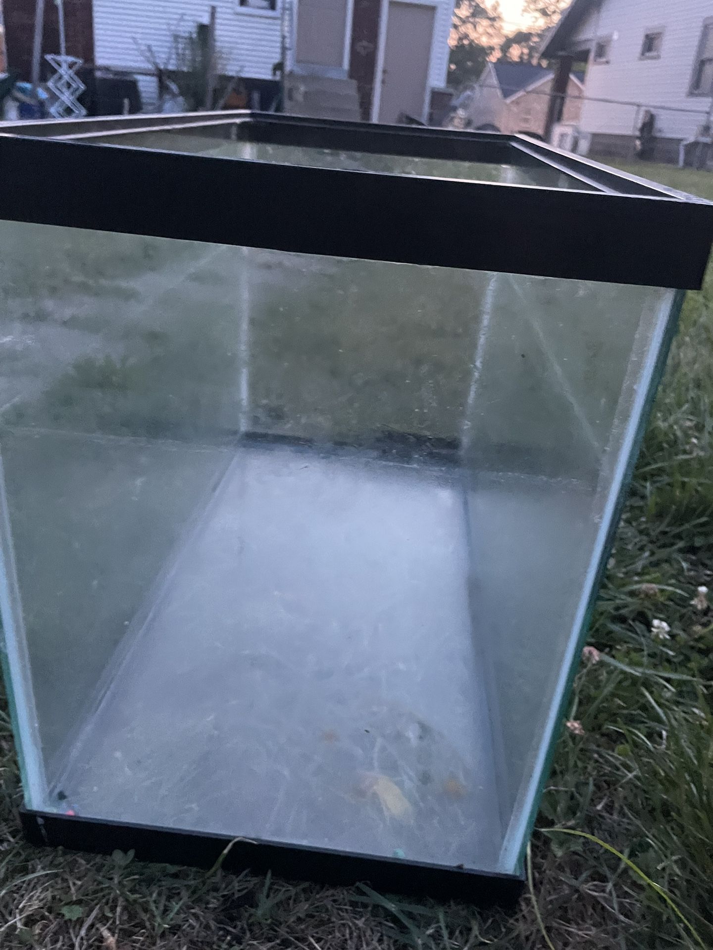 Fish Tank