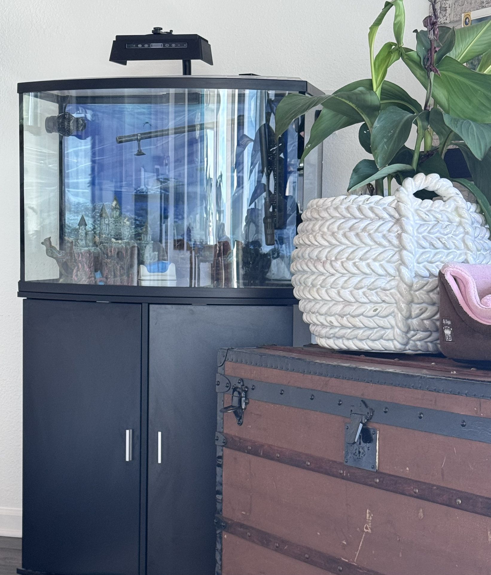 38 Gallon Bow Front Fish Tank with Cabinet