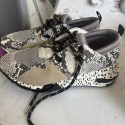Steve Madden Sneakers