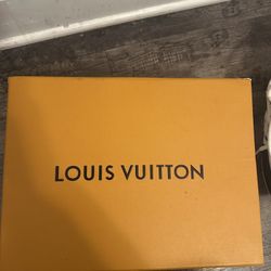 LV Skate sneakers 