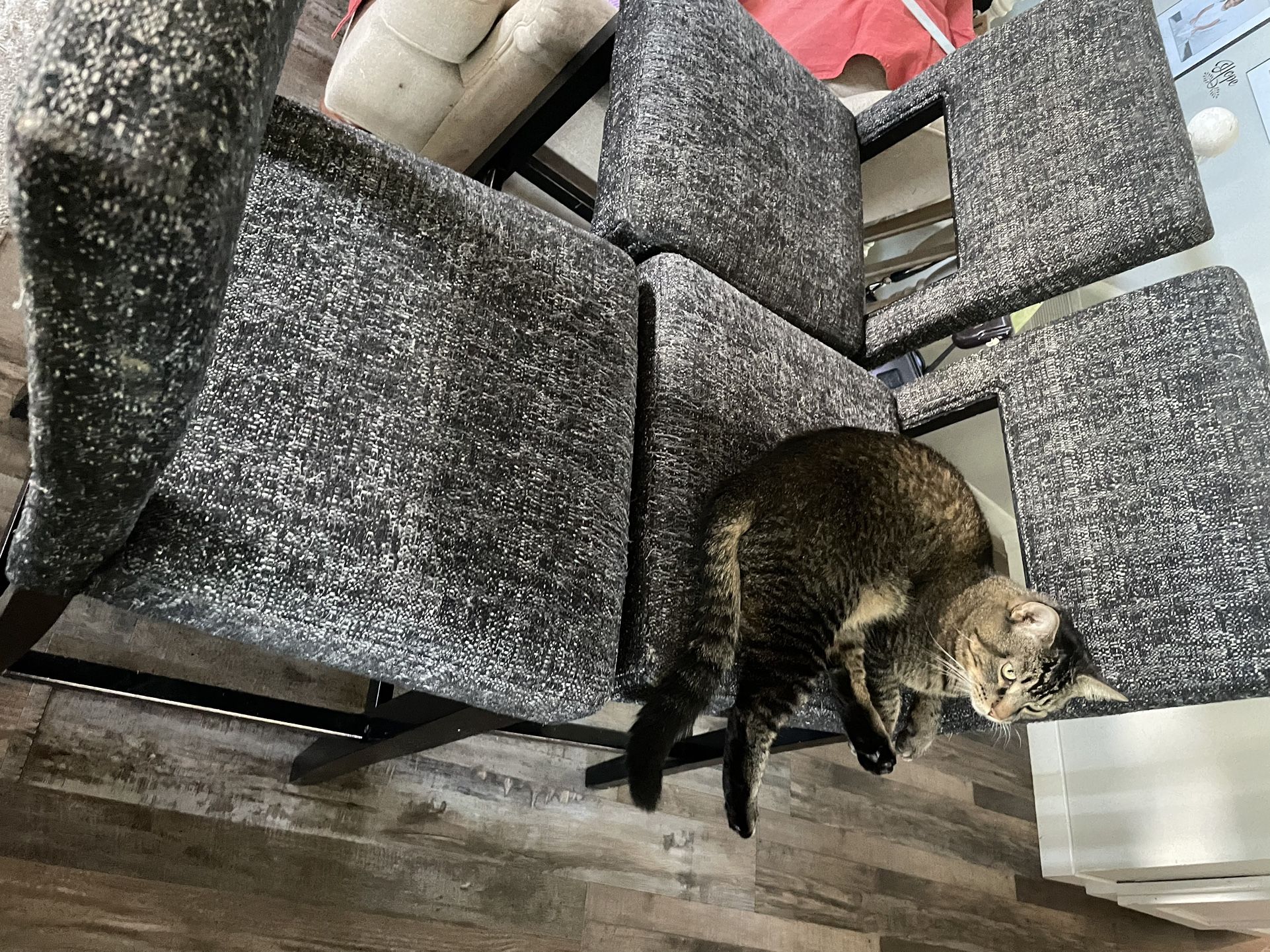 High Chairs