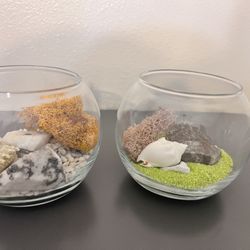 Set of 2 Contemporary Decorative Bowls With Natural Sand Rocks And Moss