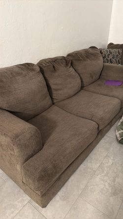 Couches dog friendly
