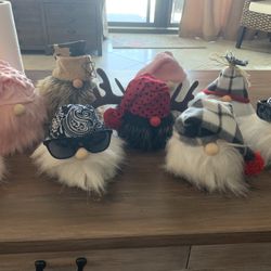 Cute Everyday Gnomes