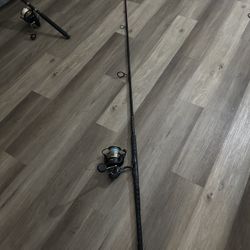 Penn battle 3 8000 combo 10’0 rod