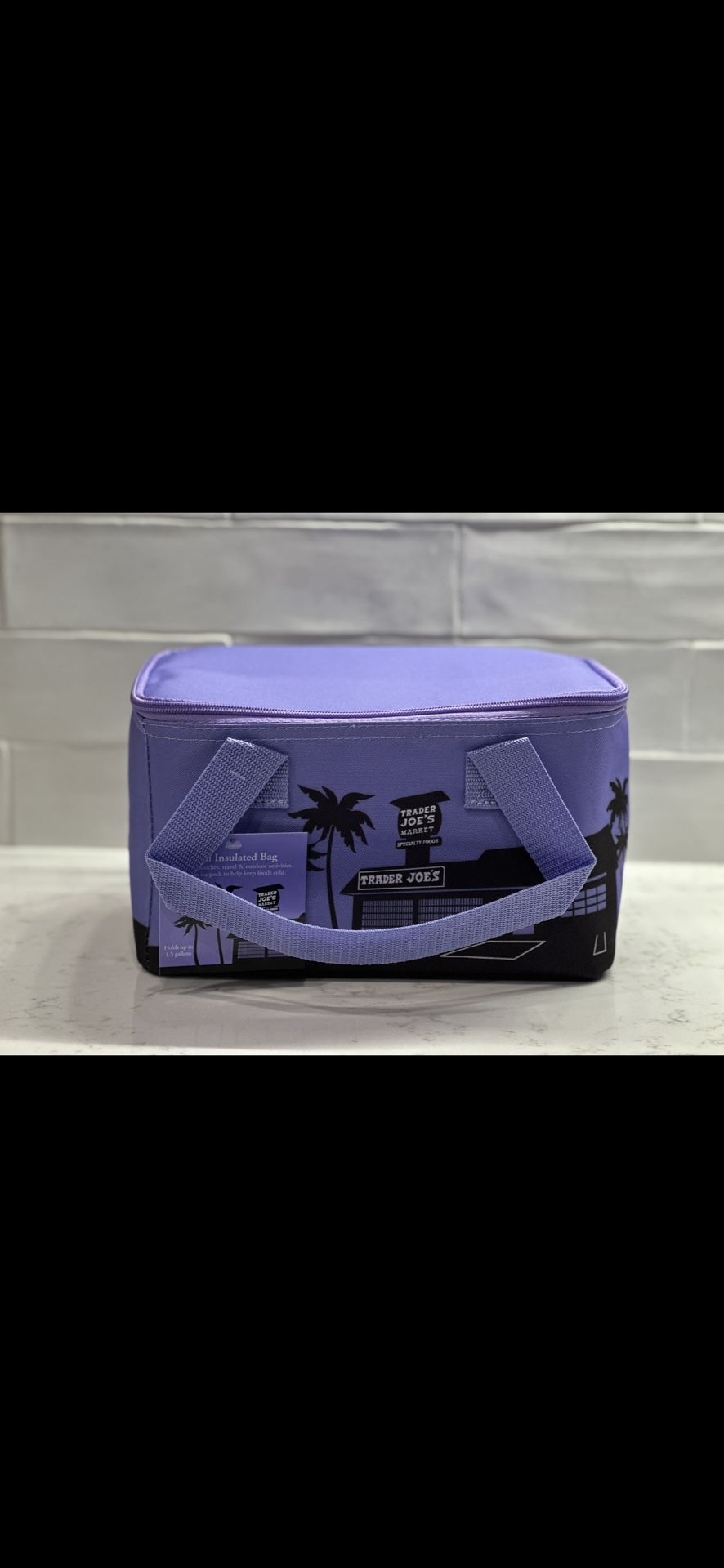 Trader Joe’s Mini Purple Insulated Tote Bag
