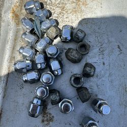 Tacoma Nugts  Toyota Nugts 