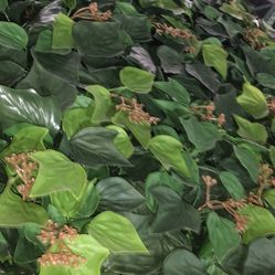 clearance! Wall Backdrop Panels: 10 by 10 in (8 Pcs) UV-Anti Greenery Boxwood Panels.