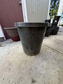 10 gallon pot