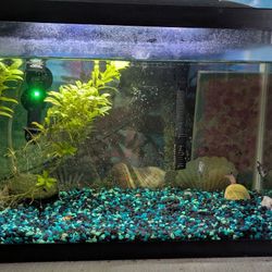 Fish Tank 10.Gallon