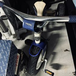 Trek Kids Bike 
