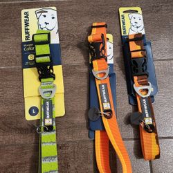 Dog Collars 