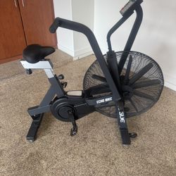 Rogue Echo Assault Bike 