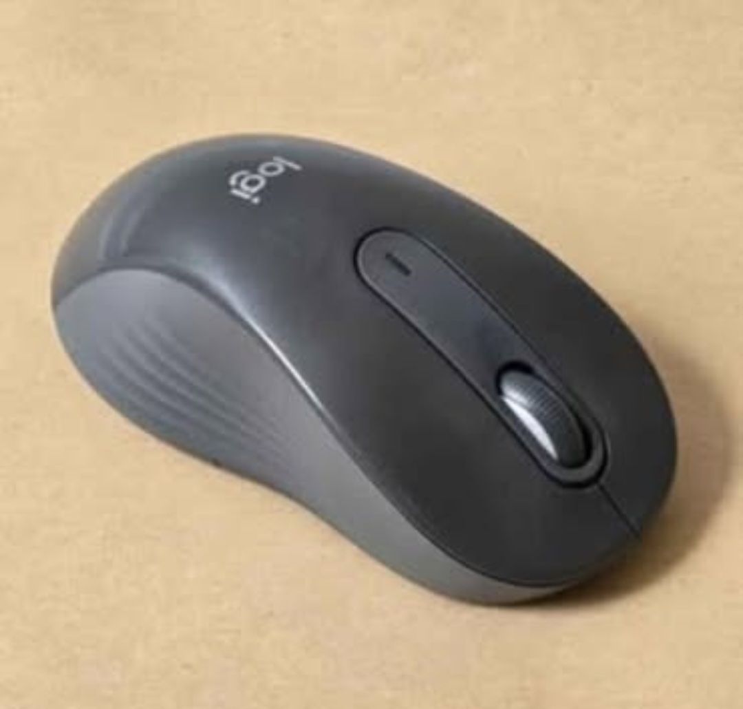 Computer Mouse