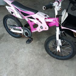 Anybike In These Pictures 10$