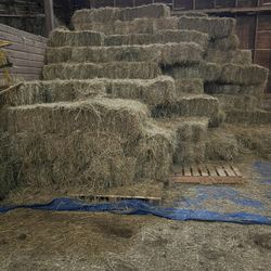 Local Organic Hay