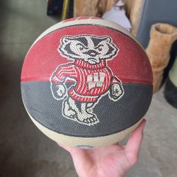 Wisconsin Badgers Basket Ball