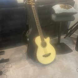 Jimmy Buffett Acoustic Guitar (Great Condition)