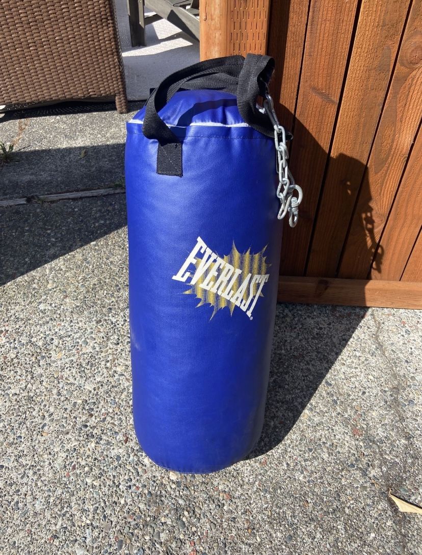 Everlast Blue Punching Bag