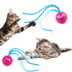 ALL FOR PAWS Interactive Cat Ball Toy (Batteries included)