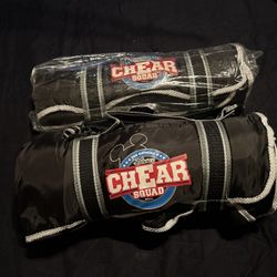 Run Disney Stadium Blankets
