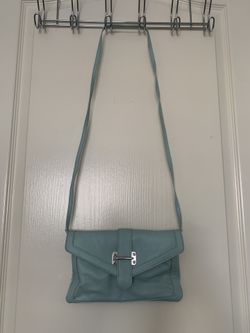 Aldo Teal Clutch Purse