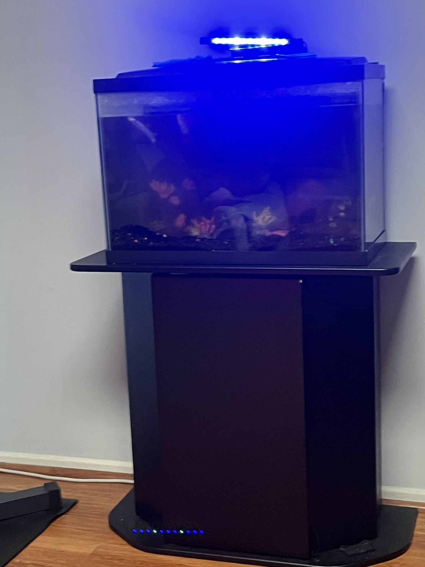 Fish Tank With Stand 